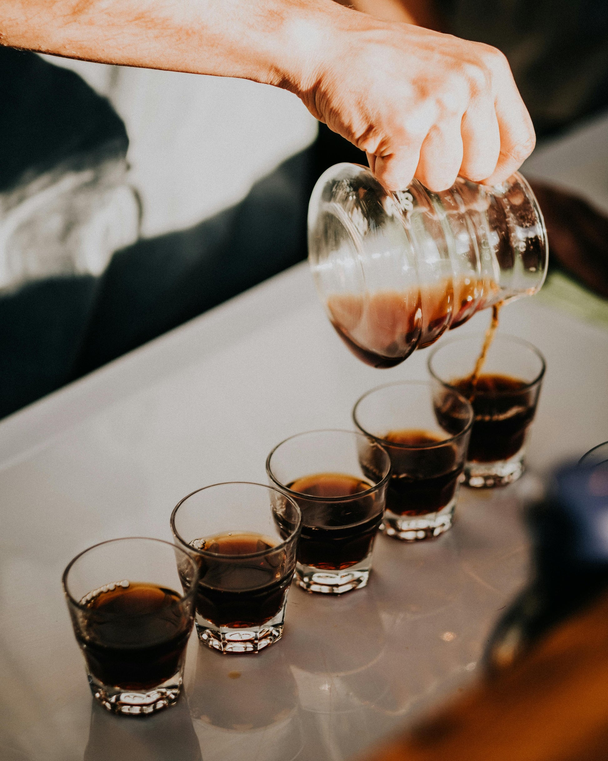 Coffee Sampling in Santa Rosa 