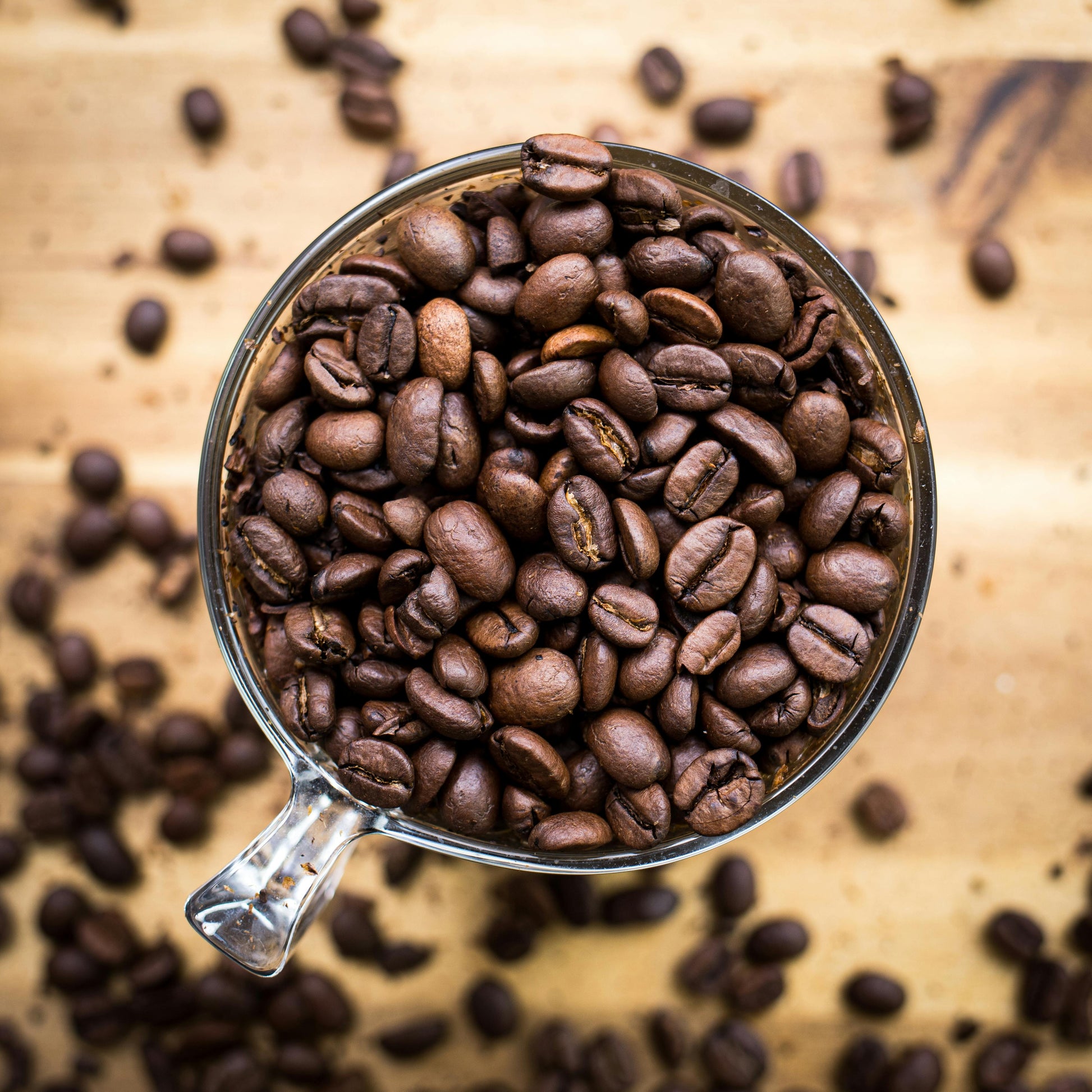 Fresh Roasted Coffee Beans 